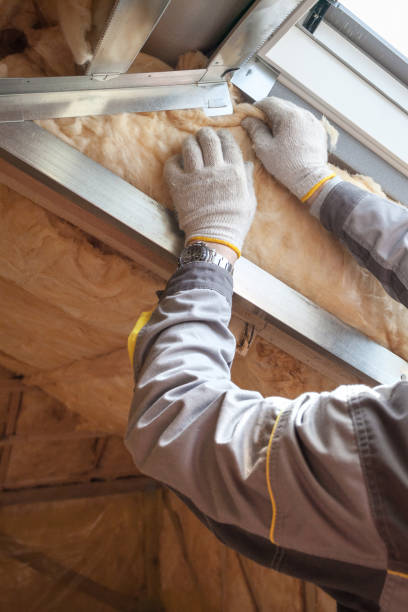 Trusted Papillion, NE Insulation Contractor Experts