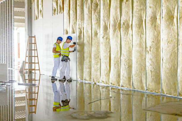 Best Eco-Friendly Insulation in Papillion, NE